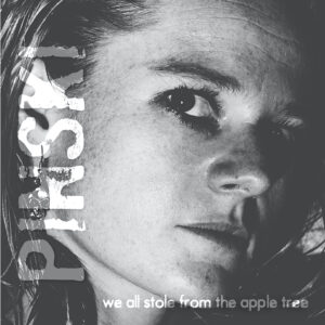 we all stole from the apple tree album cover